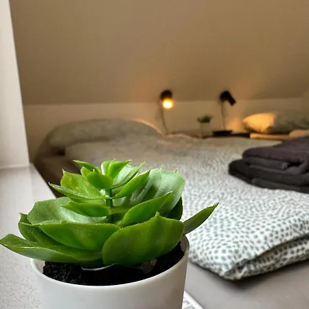 Big House I 15 Beds I 8 Sleeping I Parking *