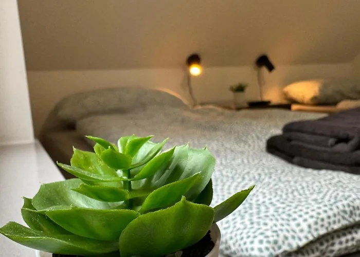 Big House I 15 Beds I 8 Sleeping I Parking *